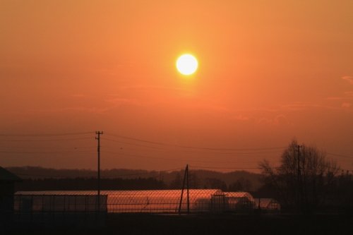 夕日に染まるビニールハウスなど