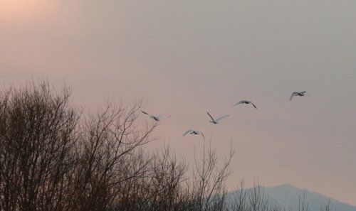 昨日の美しい夕景