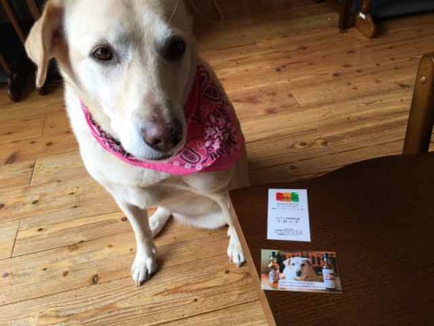 看板犬シロップの名刺、Ver.2登場です。