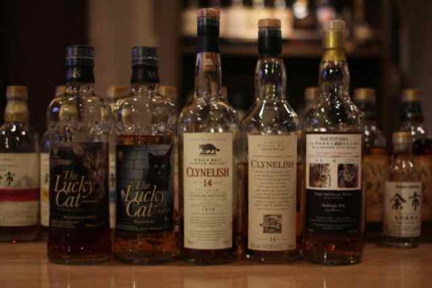 2月22日はニャンニャンニャンで猫の日です。