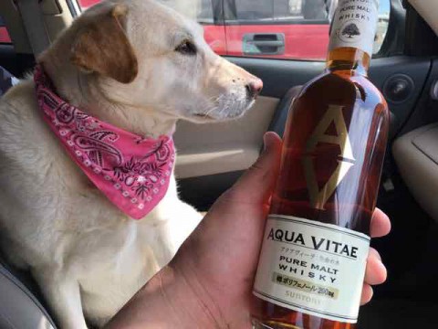 また見つけました。