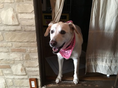 昨夜も遠方からありがとうございます。