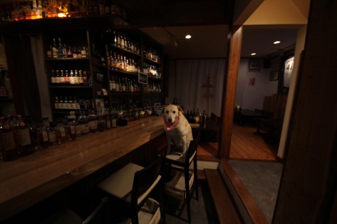 年末年始の営業のご案内です。