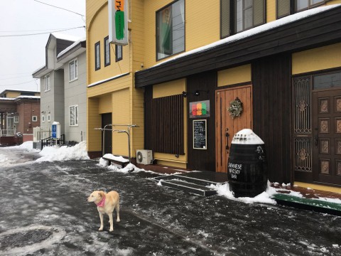 メリークリスマス! サンタさんからのプレゼントは・・・