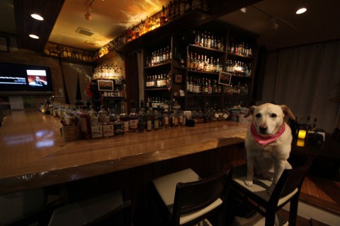 水曜日はウイスキーを飲む日です。