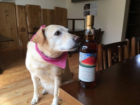 幸せな週末でしたか?