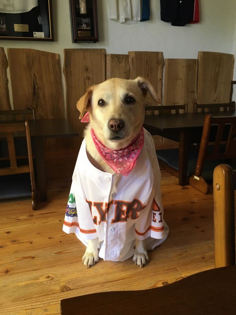 とても暑い日になりました。