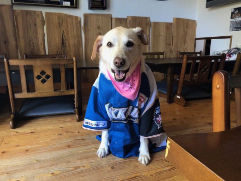 「ファイターズ戦を観ながらガーデンBBQ2018」予定通り開催いたします!