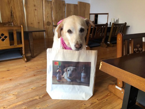 当店の看板犬シロップのトートーバッグを紹介していただきました。