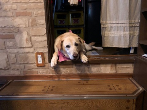 水曜日はウヰスキーを飲む日です。