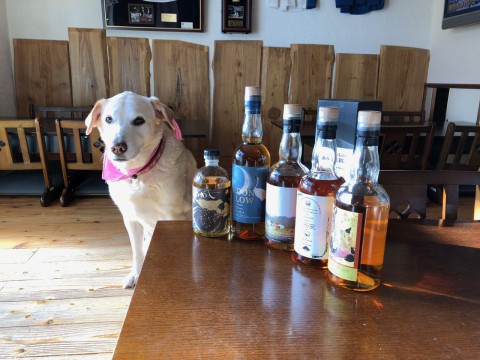 先月末頃から今月までの一部の新入荷です。