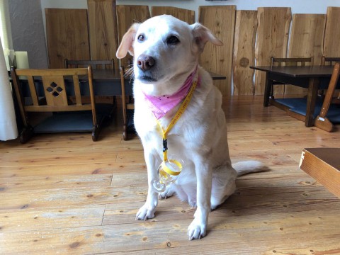 幸せな週末をお過ごし下さい。