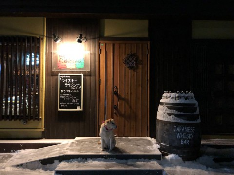 Googleのストリートビューで店内をうろつけるようになりました。