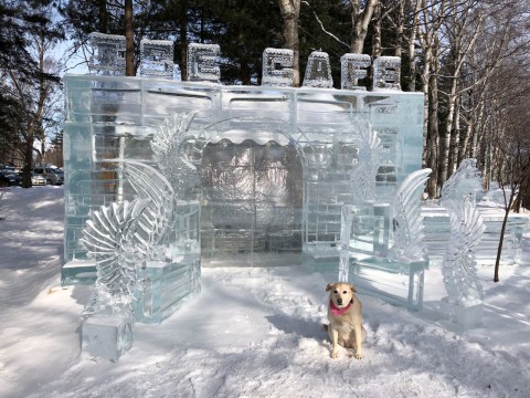 明日から3日間、帯広氷まつりのアイスカフェでお待ちしております。