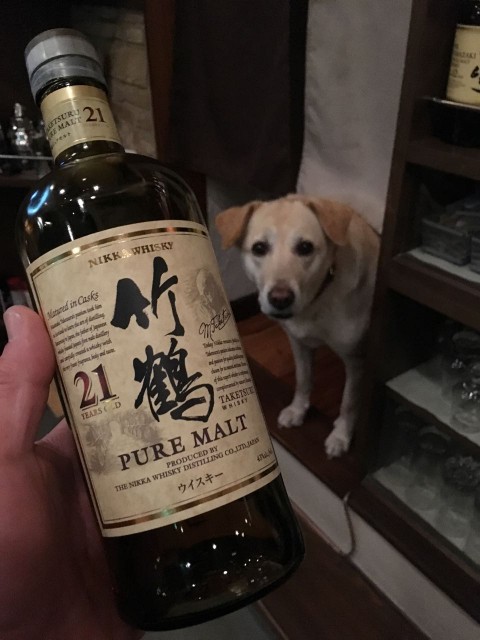 「ぼウヰ」(ボウイ)の解答です!