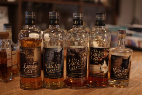 今日、2月22日はニャンニャンニャンで猫の日です。