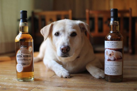 11歳になりました!