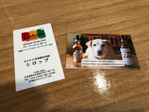 今日は「カクテルの日」と同時に「ペットの日」だそうです。