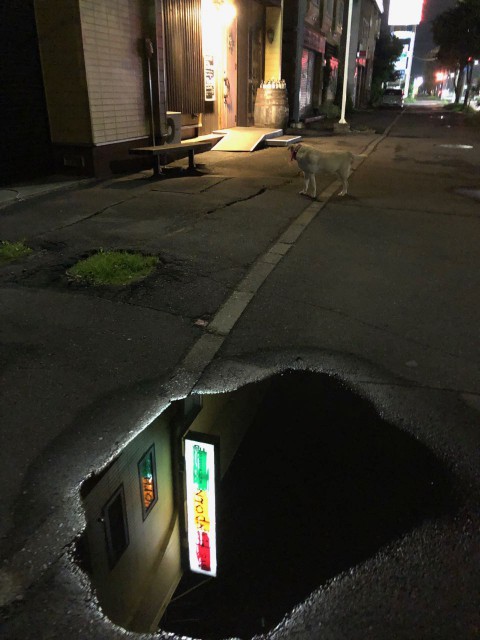 本日もエアコン効かせて皆様のご来店をお待ちしております。