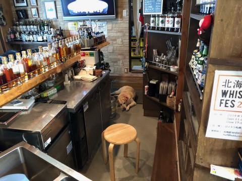 体調はいかがですか?