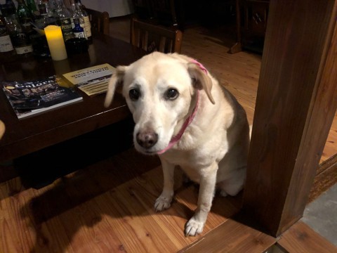 消費税増税後の価格改定についてのご案内です。