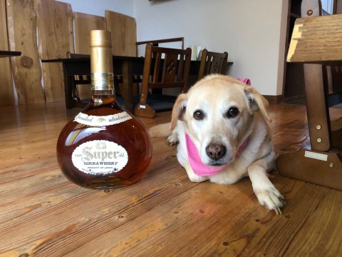 朝晩めっきり冷え込むようになり、秋の空気になって来ました。