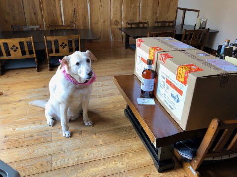 今年もありがとうございました。本日も19:30から営業いたします。