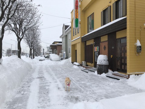 帯広の降雪量は29cmだそうです。