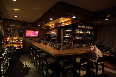 ジャパニーズウイスキーがいつの間にか550種を超えていました。