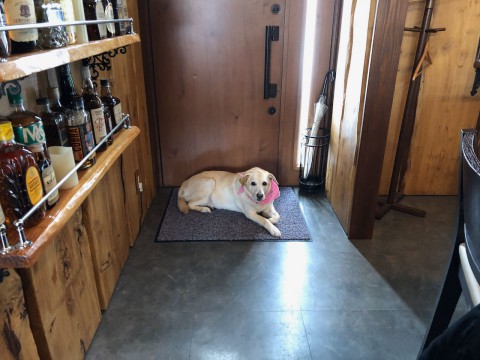 連休もあと1日となりました。