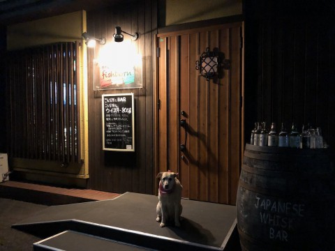 夜の街にも段々と人が戻って来ているようです。