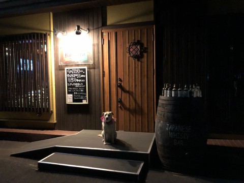 お席に余裕がありますが、ご来店前にお電話いただけると幸いです。