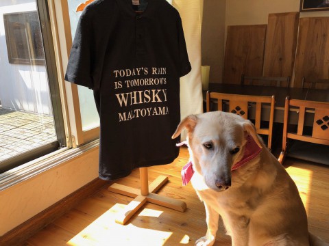 早くも週末がやって来ました。