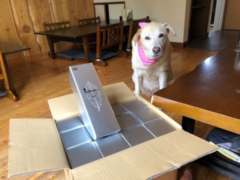 もろもろのお知らせです。