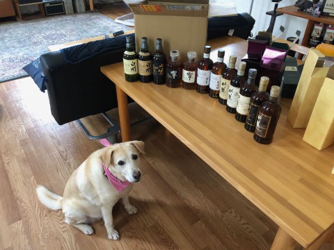 来週末までの当店の営業スケジュールです。