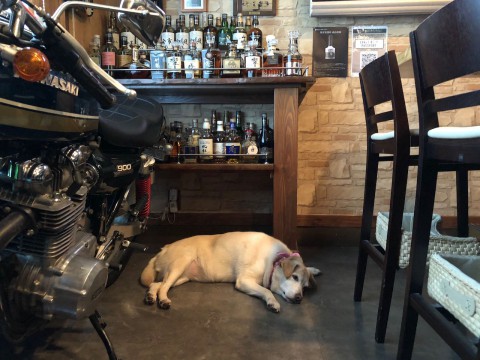 本日は連休最終日ですので・・・。