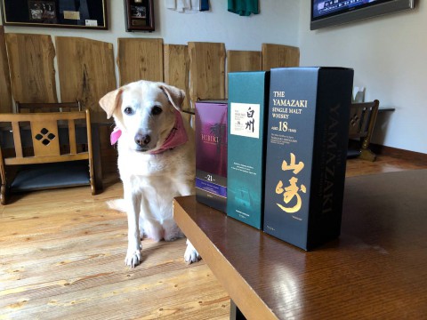 日曜日にご来店予定の方、土曜日中のご予約をお願いいたします。