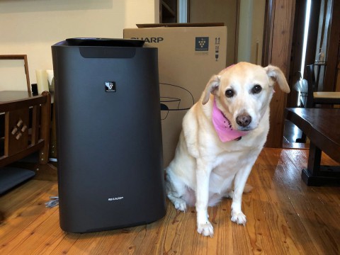 本日の日曜日は誠に勝手ながら、お休みを頂きます。