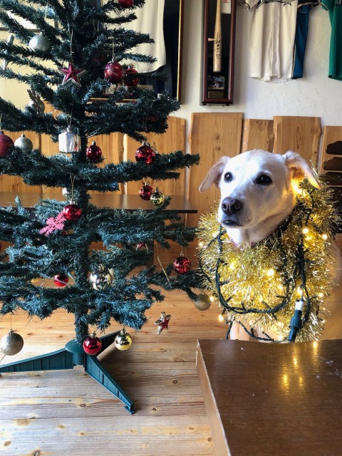 年末年始営業のご案内