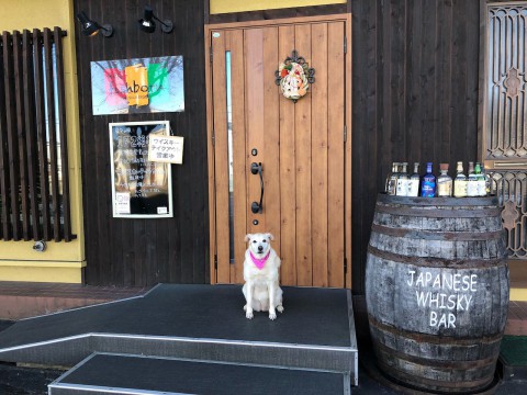 今年一年、誠にありがとうございました!