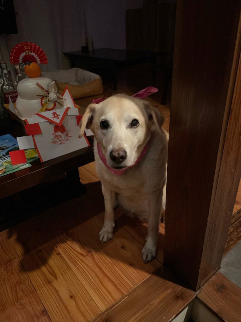 道外への量り売りについて。