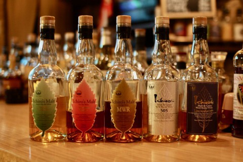 今日は久しぶりに最高気温がプラスになりました。