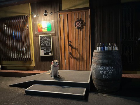 本日もご来店前のお電話をお願いいたします。