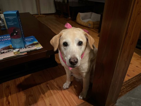 BAR fishborn  10周年企画第2弾です。