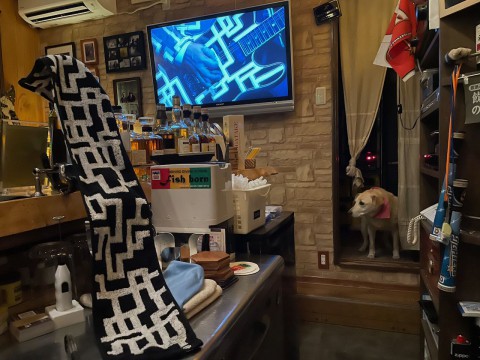 本日の日曜日はお休みさせていただきます。