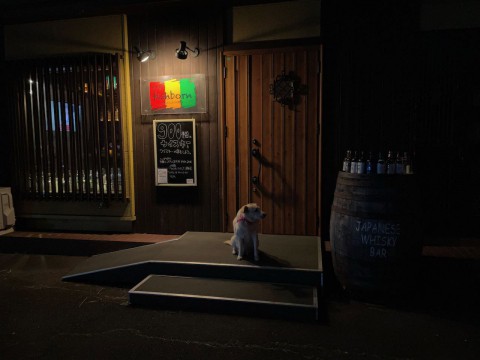 今週も週末がやって来ました。