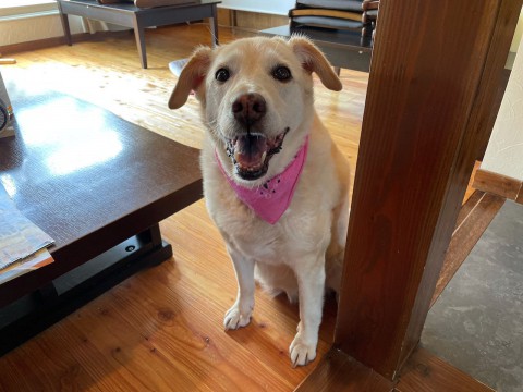 開店10周年記念ボトル第2弾発売です!