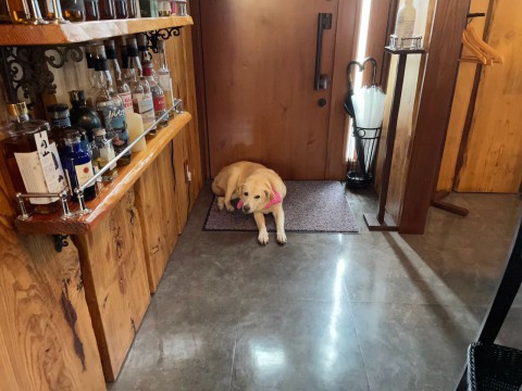 連休中の営業のお知らせです。