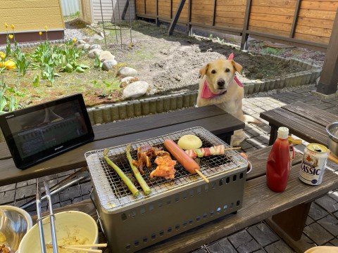 久しぶりの夏日となりました。