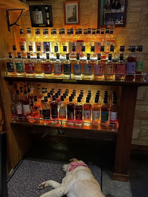 本日の日曜日は営業いたしますが、残席僅かとなっております。